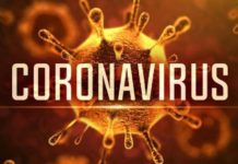 உலகளாவிய ரீதியில் COVID-19 தொற்றுக்குள்ளானோர் எண்ணிக்கை 52 இலட்சத்தை அண்மித்தது