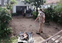 நாய் ஒன்றை சுட்டுக் கொன்ற சம்பவம்