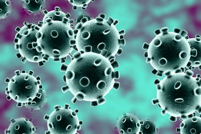 coronavirus-molecular-make-up-buzz-1-1024x683-1-696x464