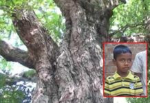 11 வயது சிறுவன் மரம் ஒன்றில் சிக்கி பலி!