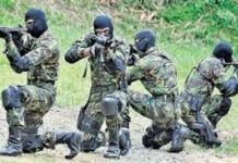 விசேட அதிரடி படையினரின் துப்பாக்கி பிரயோகத்தில் இருவர் படுகாயம்