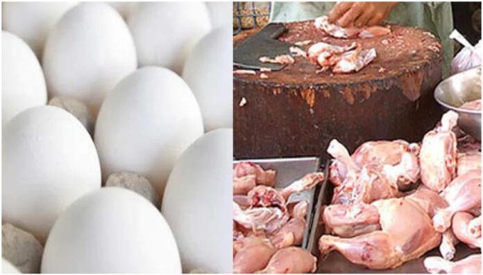 pearlonenews-chicken-egg-கோழி இறைச்சி-முட்டை