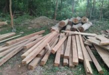 நாகஞ்சோலை வனப்பகுதியில் தொடரும் மரக்கடத்தல்!